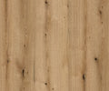 Coast Evoke Oak